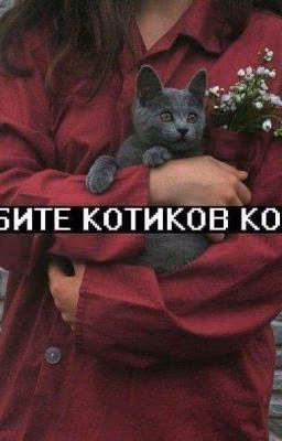 ❤️🔝Топовые сохры🔝❤️