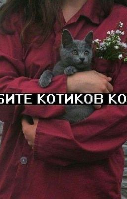 ❤️🔝Топовые сохры🔝❤️