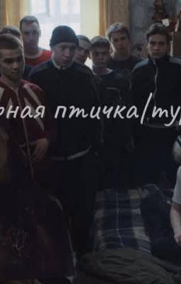 "черная птичка|турбо"