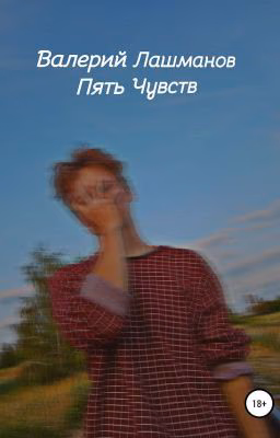 Пять Чувств