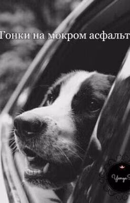 Гонки на мокром асфальте