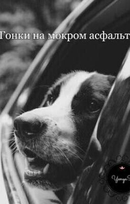 Гонки на мокром асфальте