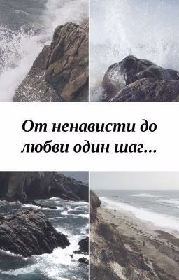 От ненависти до любви один шаг...