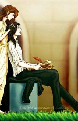 Семь дней на обольщение, или Кому достанется главный приз?