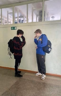 Сводные
