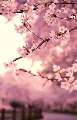 Когда я влюбилась в тебя?