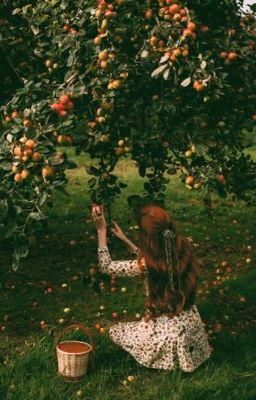 Розовый Жемчуг