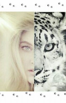 Жизнь одного барса