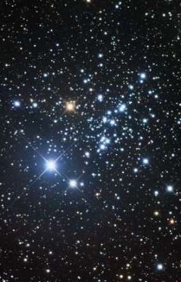 Звездная долина