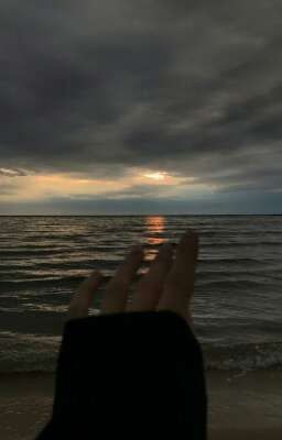 Морская раковина