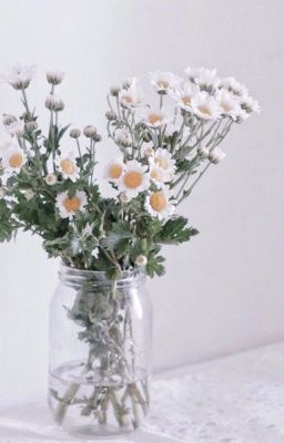 Осень в душу приходит размышлениями.