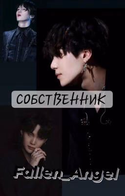 Собственник  
