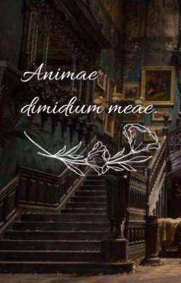 Animae dimidium meae