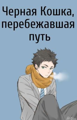 Черная Кошка, перебежавшая путь |Закончен|