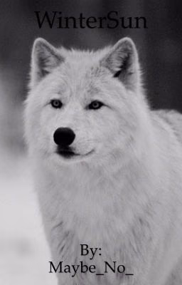 WinterSun