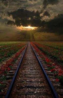 Дорога в никуда