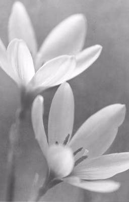 Фотография на которой меня нет