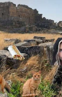 Долбанутые мироходцы🗺️