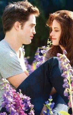 Немного другие Сумерки 