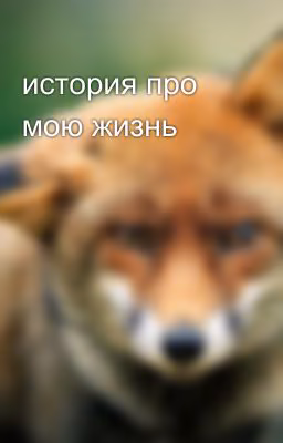 история про мою жизнь