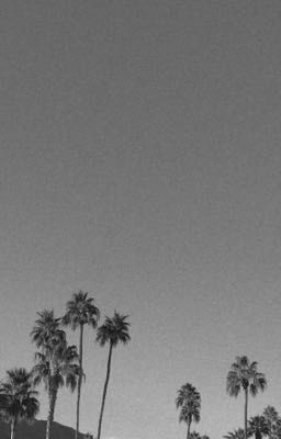 Гибель тёмных 