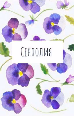 Сенполия