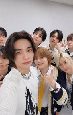 ★stray kids★ <хенликсы> °Минсоны° и возможно •сынчоны•