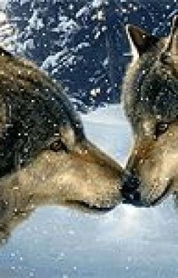 50 дней до моего самоубийство 2 часть