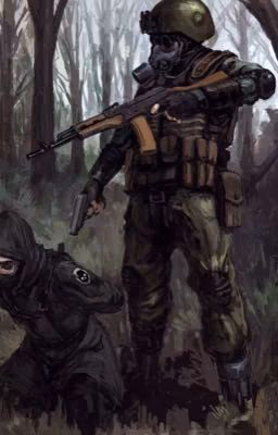 S.T.A.L.K.E.R. , но если бы ты был/а на месте гг..