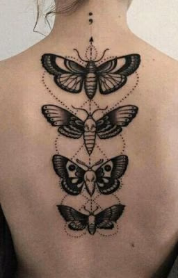 The Butterfly affects