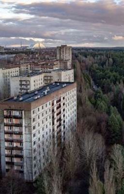 там где кипела жизнь