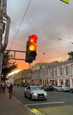 Трус. 
