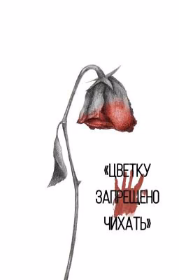 «Цветку запрещено чихать»