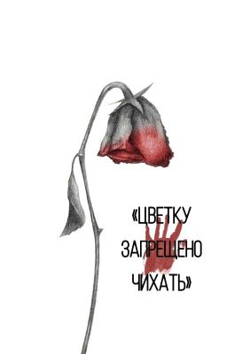 «Цветку запрещено чихать»