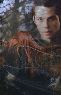 Плоть и Кости【Sterek】