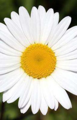 Люди никогда нас не поймут..