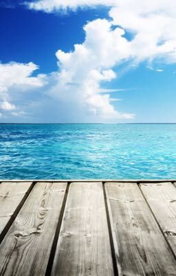 Жизнь у моря