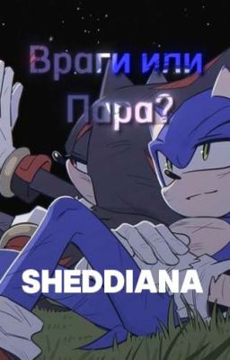 Враги или Пара..(Sonadow)