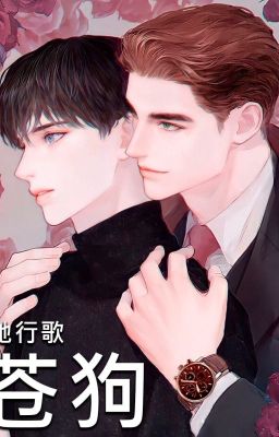 Летящие облака