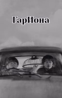 ГарИона