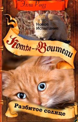 Новое испытание . Разбитое Солнце