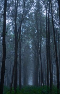 Слепая любовь.