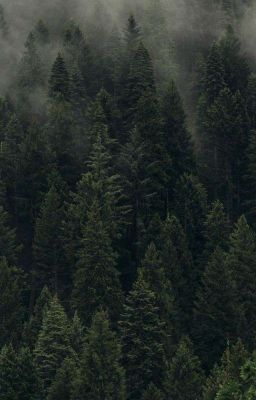 Крипипаста. Фанфик Пятиклассниц