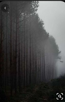 Крипипаста и девочка из ФБР.