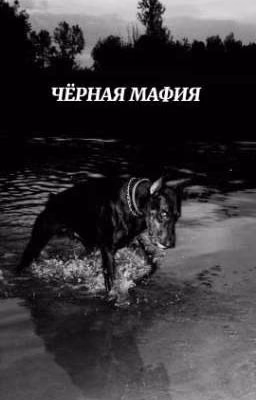 Чёрная мафия |J.H