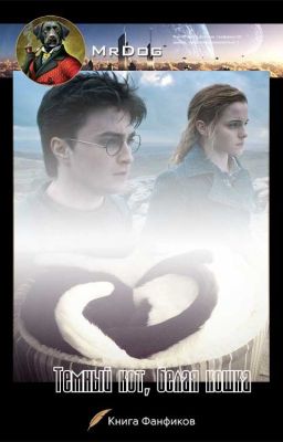 Темный кот, белая кошка