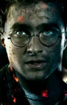 Вечная Дружба