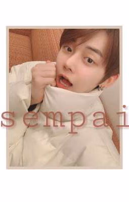 ｓｅｍｐａｉ