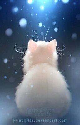 Кошачьи чувства