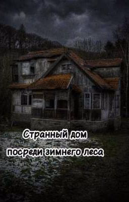 Странный дом посреди зимнего леса